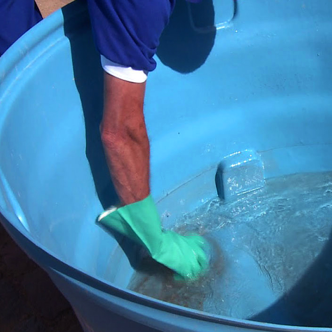 Fazer a limpeza da caixa d’água periodicamente previne contaminações
